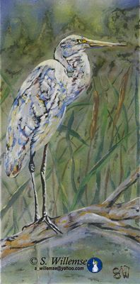 Egret by Susan Willemse - search and link Fine Art with ARTdefs.com