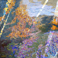 Autumnal metamorphosis by Alexander Vlasyuk - search and link Fine Art with ARTdefs.com