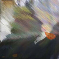 Leaves of Autumn by Alexander Vlasyuk - search and link Fine Art with ARTdefs.com