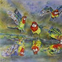 Eastern Rosella reflections by Susan Willemse - search and link Fine Art with ARTdefs.com
