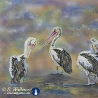 Pelicans by Susan Willemse - search and link Fine Art with ARTdefs.com