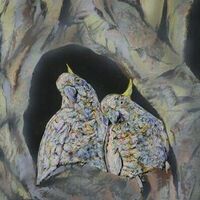 Bindubi babies by Susan Willemse - search and link Fine Art with ARTdefs.com