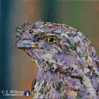 Tawny Frogmouth by Susan Willemse - search and link Fine Art with ARTdefs.com