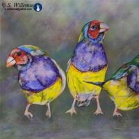 Red-headed Gouldian Finches by Susan Willemse - search and link Fine Art with ARTdefs.com