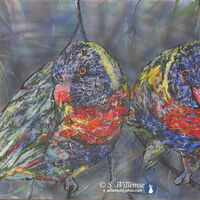 Rainbow Lorikeet: Looking at you by Susan Willemse - search and link Fine Art with ARTdefs.com