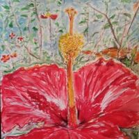 Dominican Bloom by Susan Royer - search and link Fine Art with ARTdefs.com