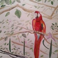 Crimson Macaw by Susan Royer - search and link Fine Art with ARTdefs.com