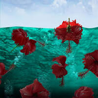 Red COZUMEL2 by Andrea DiFiore - search and link Fine Art with ARTdefs.com