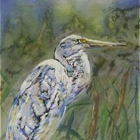 Egret by Susan Willemse - search and link Fine Art with ARTdefs.com