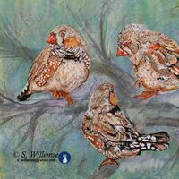 Finches by Susan Willemse - search and link Fine Art with ARTdefs.com