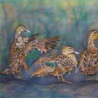Ducks by Susan Willemse - search and link Fine Art with ARTdefs.com