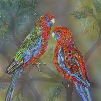 Crimson Rosellas: Father and son by Susan Willemse - search and link Fine Art with ARTdefs.com