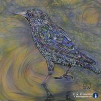 Starling by Susan Willemse - search and link Fine Art with ARTdefs.com
