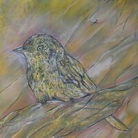 Thornbill by Susan Willemse - search and link Fine Art with ARTdefs.com