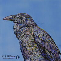 Crow by Susan Willemse - search and link Fine Art with ARTdefs.com