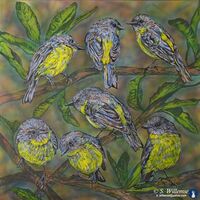 Yellow Robins and banksia by Susan Willemse - search and link Fine Art with ARTdefs.com