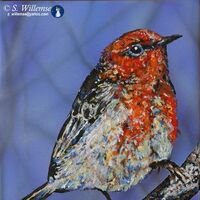Scarlet honeyeater by Susan Willemse - search and link Fine Art with ARTdefs.com