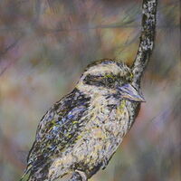 Thoughtful Kookaburra by Susan Willemse - search and link Fine Art with ARTdefs.com