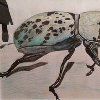 Hercules Beetle by Susan Royer - search and link Fine Art with ARTdefs.com