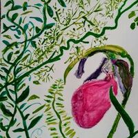 Wild Lady Slipper by Susan Royer - search and link Fine Art with ARTdefs.com