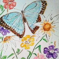 Morpho Brazilian Blue Butterfly by Susan Royer - search and link Fine Art with ARTdefs.com
