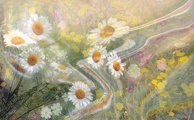 July chamomiles by Alexander Vlasyuk - search and link Fine Art with ARTdefs.com