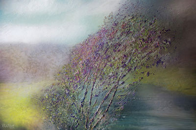 Breath of the Svisloch River by Alexander Vlasyuk - search and link Fine Art with ARTdefs.com
