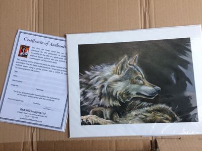 Greywolf - Giclee Print by Colin Mowat - search and link Fine Art with ARTdefs.com