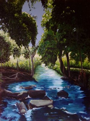 Rio Meia Pataca by Vincent Mengeot - search and link Fine Art with ARTdefs.com