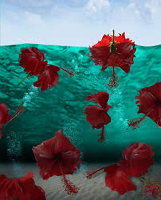 Red COZUMEL2 by Andrea DiFiore - search and link Fine Art with ARTdefs.com