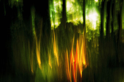 Eirie Forest by George Kaplan - search and link Fine Art with ARTdefs.com
