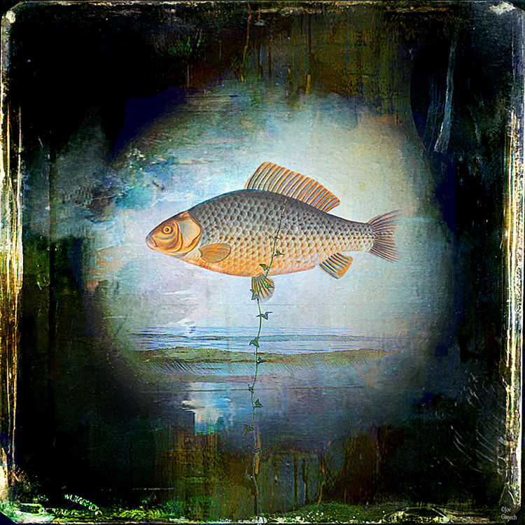 The surrealist fish by Joe Ganech - search and link Fine Art with ARTdefs.com