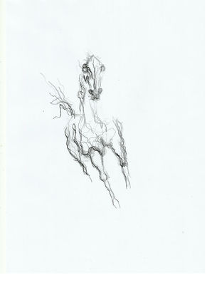 horse 11 by L Tab - search and link Fine Art with ARTdefs.com