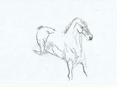 horse 9 by L Tab - search and link Fine Art with ARTdefs.com