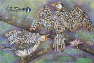 Cormorants: Dancing in the rain by Susan Willemse - search and link Fine Art with ARTdefs.com