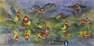 Eastern Rosella reflections by Susan Willemse - search and link Fine Art with ARTdefs.com