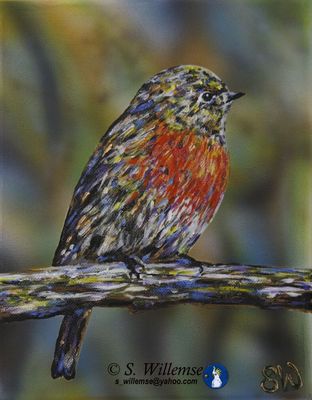 Red Robin by Susan Willemse - search and link Fine Art with ARTdefs.com