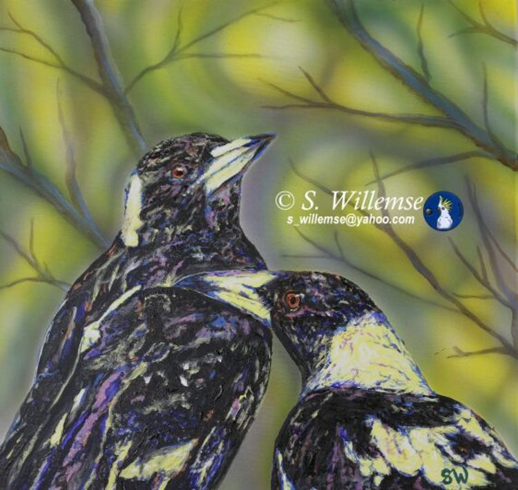 Magpies by Susan Willemse - search and link Fine Art with ARTdefs.com