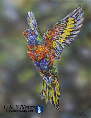 Hope Rainbow Lorikeet by Susan Willemse - search and link Fine Art with ARTdefs.com