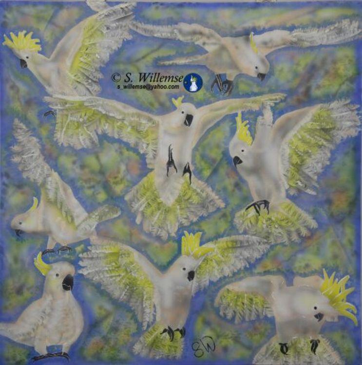 Flock Sulphur Cockatoos by Susan Willemse - search and link Fine Art with ARTdefs.com