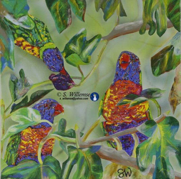 Rainbow Lorikeet in the fig tree by Susan Willemse - search and link Fine Art with ARTdefs.com