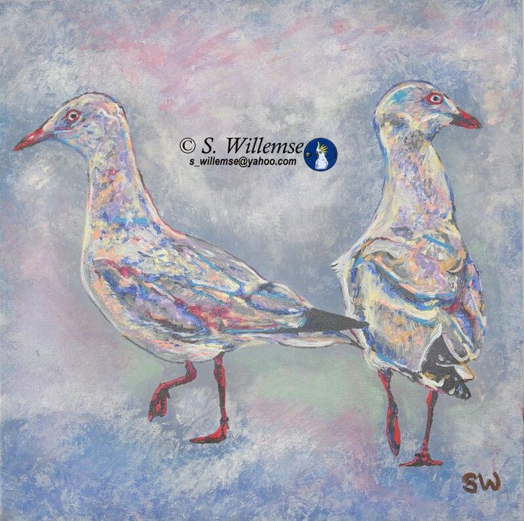 Seagulls by Susan Willemse - search and link Fine Art with ARTdefs.com