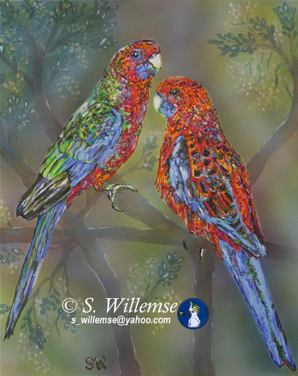 Crimson Rosellas: Father and son by Susan Willemse - search and link Fine Art with ARTdefs.com