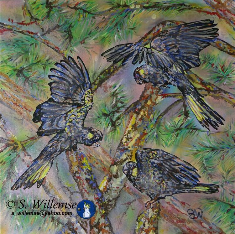 Yellow- tailed Black Cockatoos by Susan Willemse - search and link Fine Art with ARTdefs.com