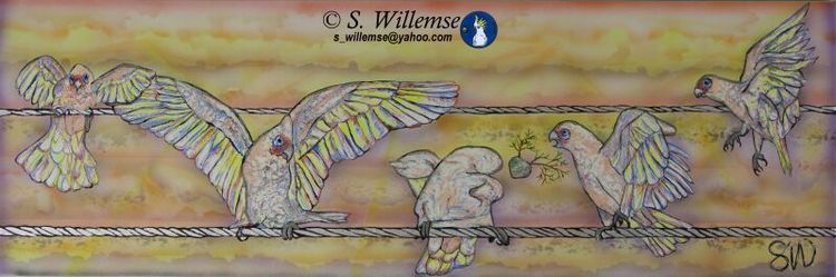 Sunset Corellas by Susan Willemse - search and link Fine Art with ARTdefs.com