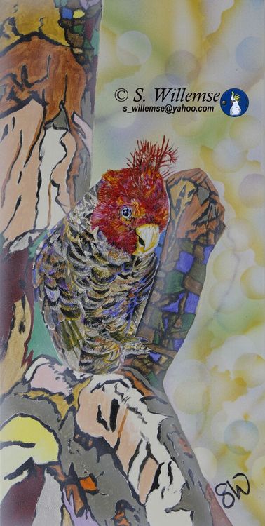 "Party boy" Gang- gang by Susan Willemse - search and link Fine Art with ARTdefs.com