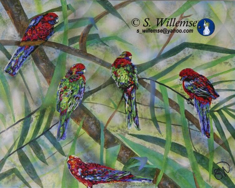 Crimson Rosellas by Susan Willemse - search and link Fine Art with ARTdefs.com