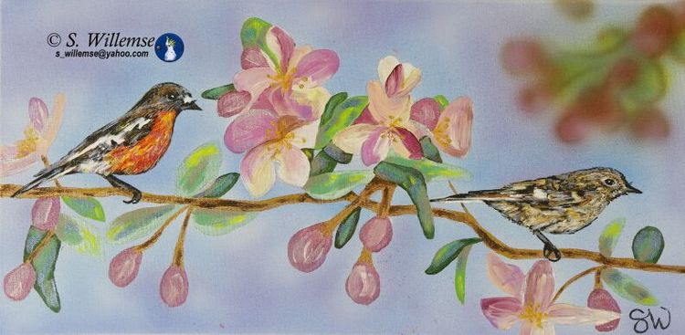 Robins in spring blossoms by Susan Willemse - search and link Fine Art with ARTdefs.com