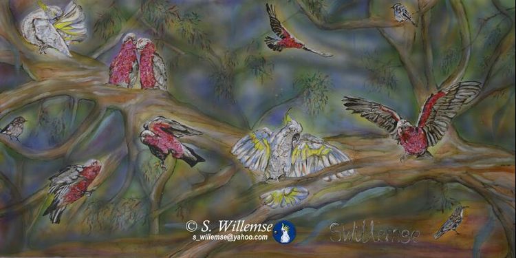 Cockatoo's, Galahs and LBJ's by Susan Willemse - search and link Fine Art with ARTdefs.com