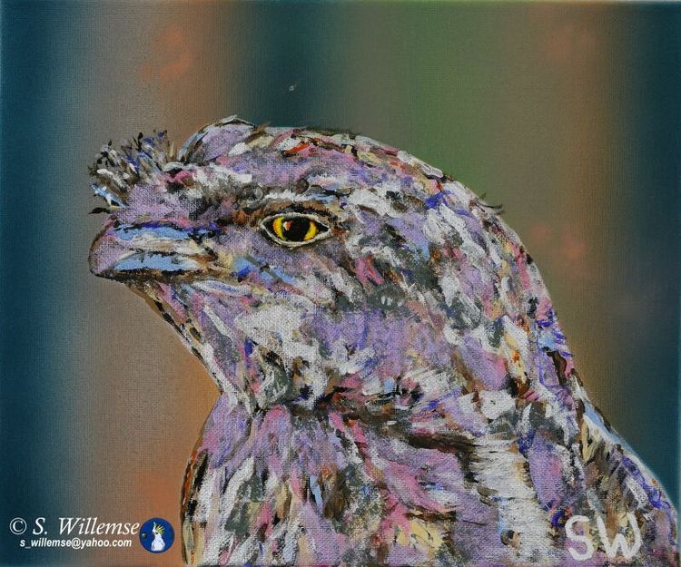 Tawny Frogmouth by Susan Willemse - search and link Fine Art with ARTdefs.com